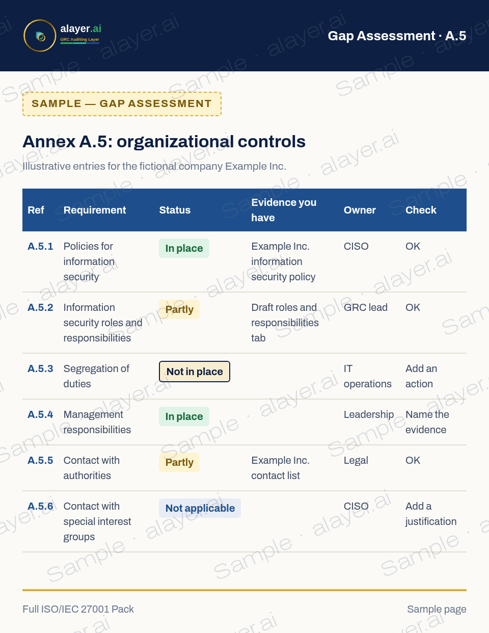 Sample — Gap Assessment page with fictional Example Inc. entries